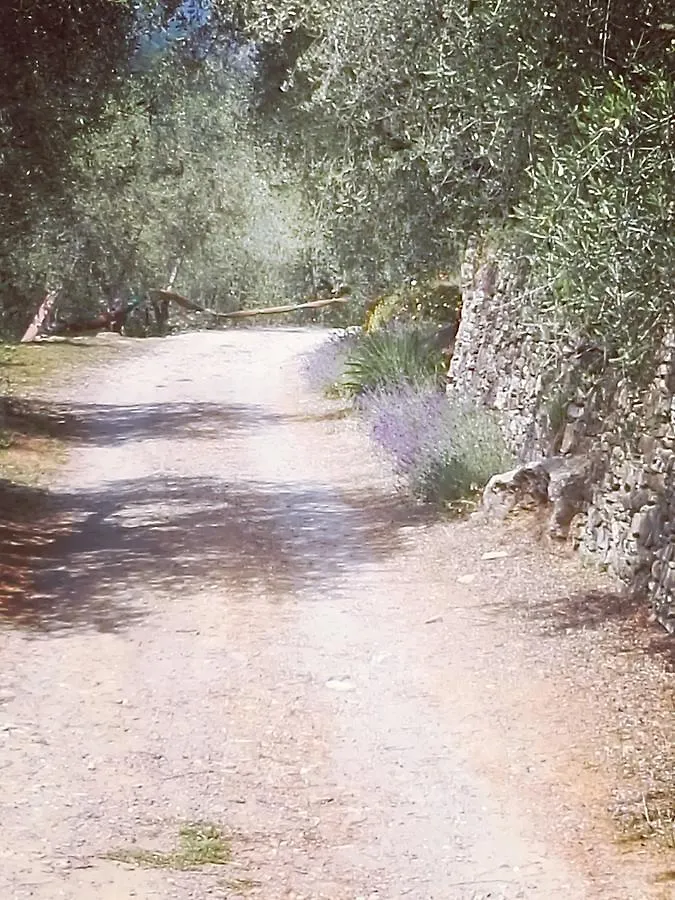 Terre Di Garlenda Guest House