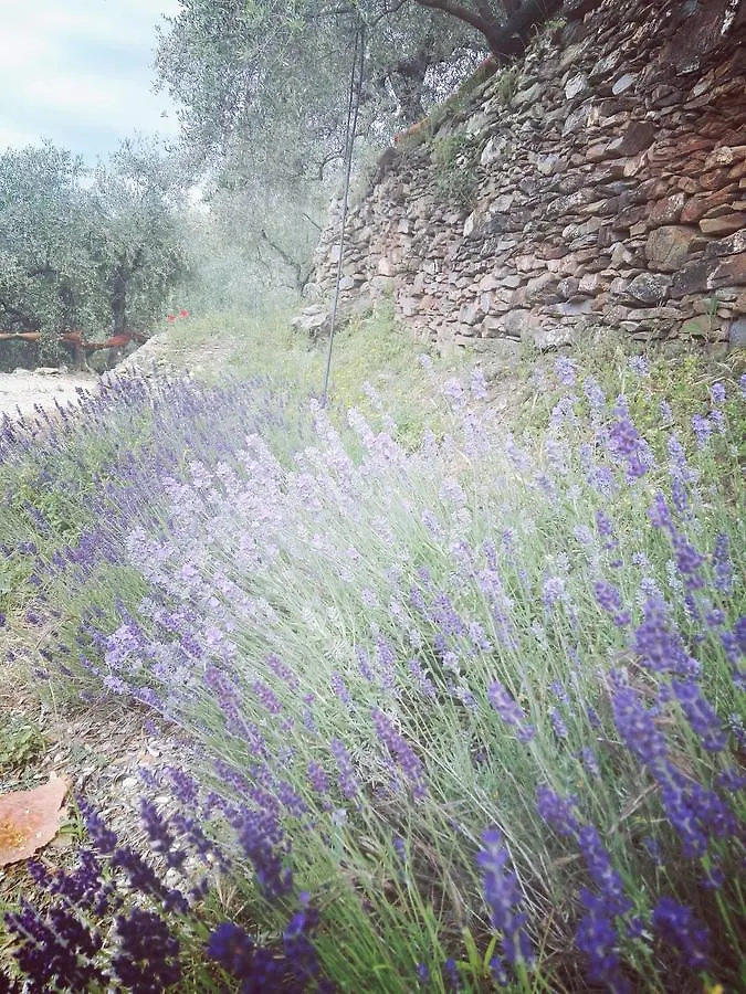 Country house Terre Di Garlenda Guest House