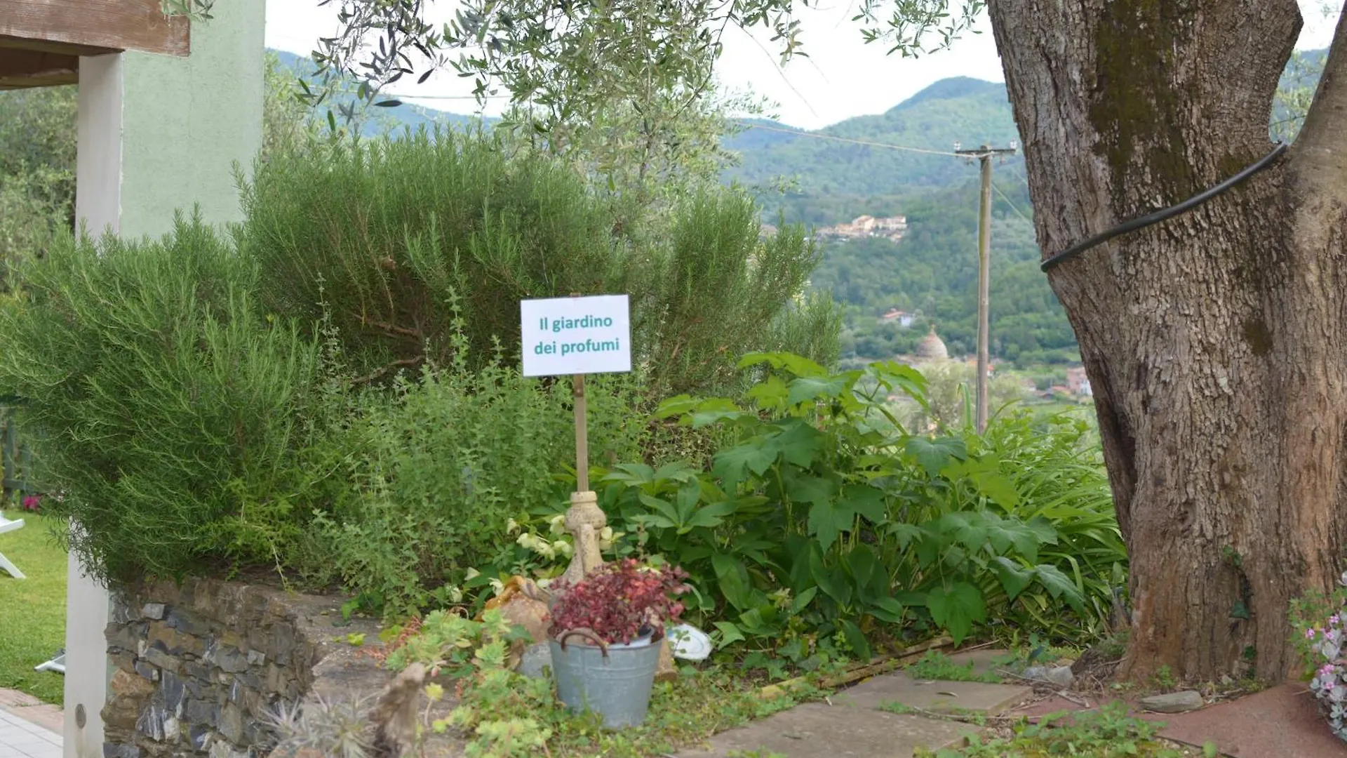 Terre Di Garlenda Pensionat 0*,